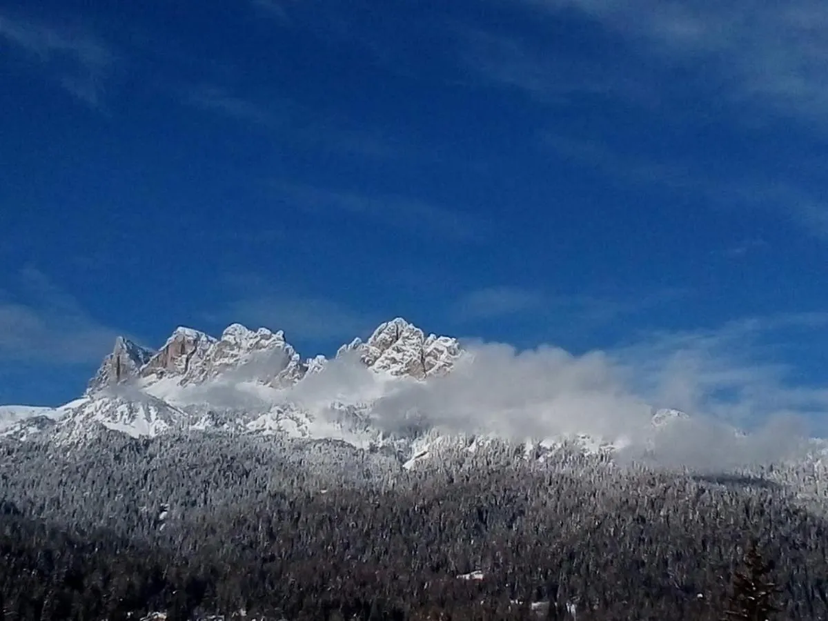 Appartamento Al Pelmo Villanova  Apartment